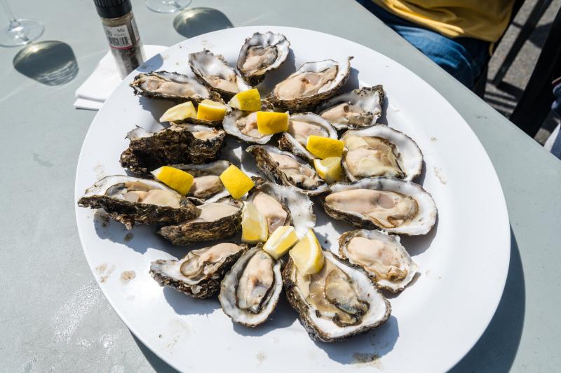 Oesters