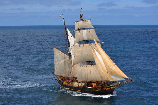 Tres Hombres