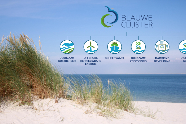 Blauwe Cluster met domeinen