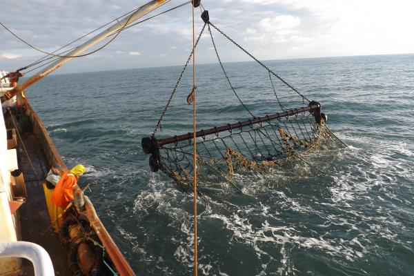 Vissen naar de toekomst