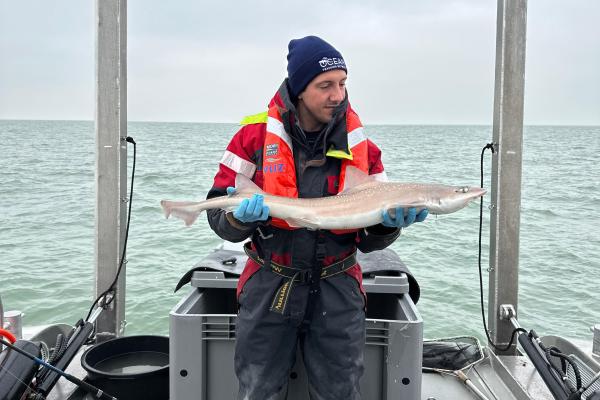 Onze voedselketen onder druk